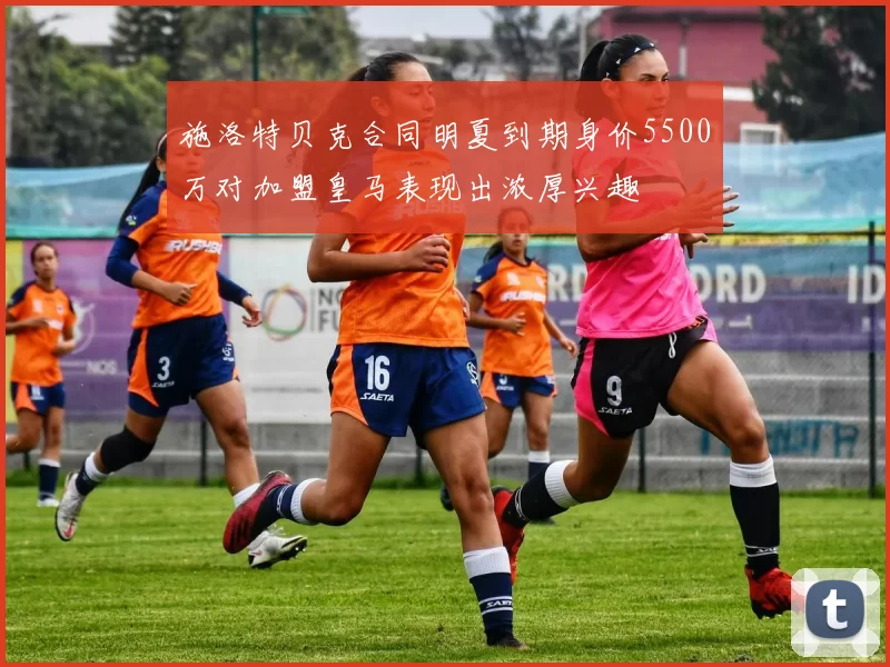 施洛特贝克合同明夏到期身价5500万对加盟皇马表现出浓厚兴趣